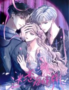 Hội Chứng Say Đắm