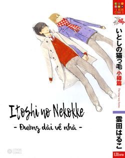 Itoshi No Nekokke - Đường Dài Về Nhà